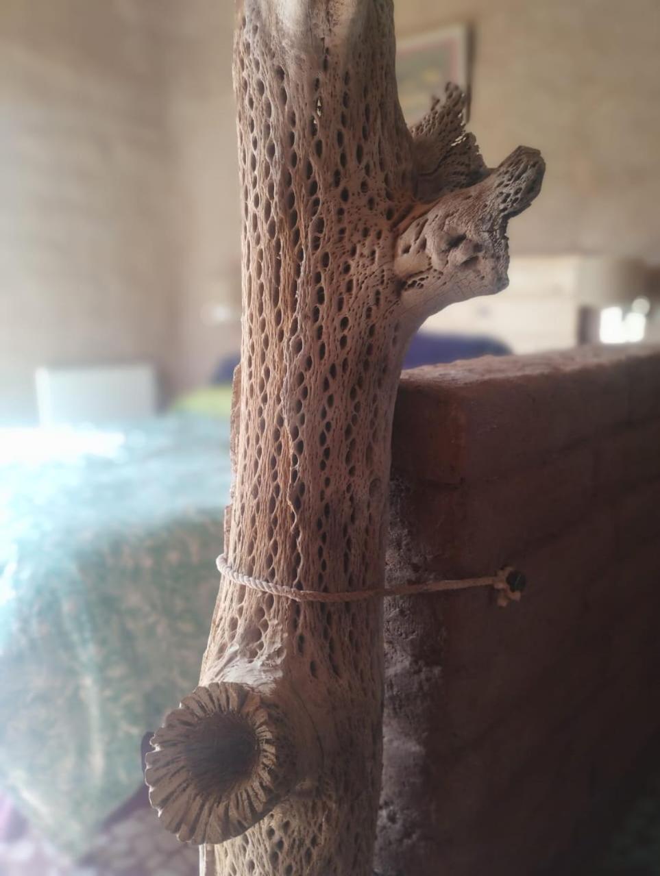 Las Ranas Tilcara Ngoại thất bức ảnh